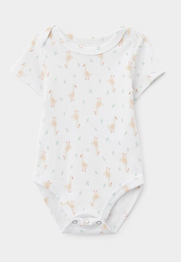 Боди 3 шт. Carrot