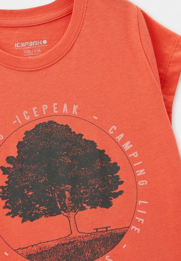 Футболка Icepeak