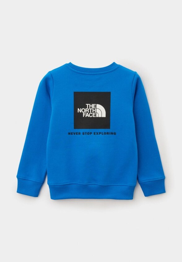 Свитшот The North Face