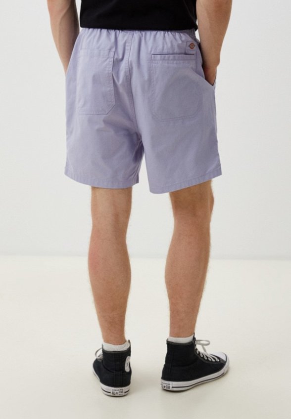 Шорты спортивные Dickies