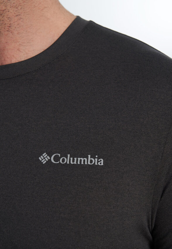 Футболка мужская Columbia Parsons Point SS Logo Tee, Черный