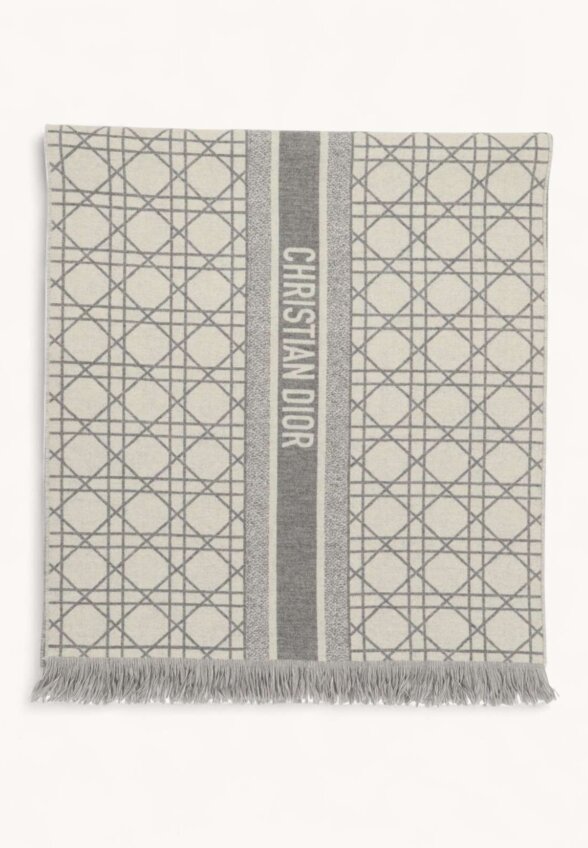 Dior Scarf