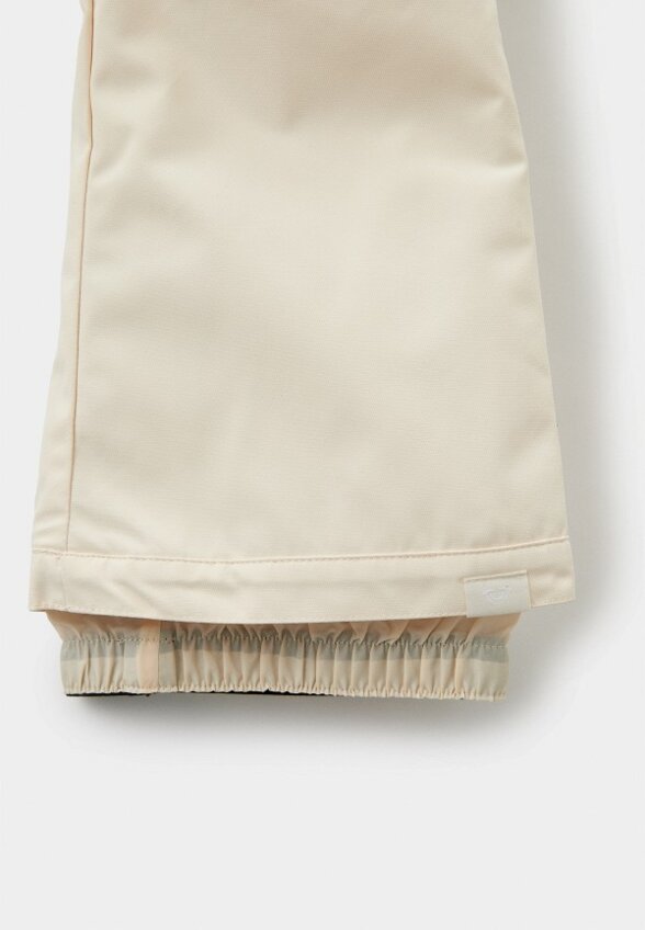 Брюки горнолыжные Roxy