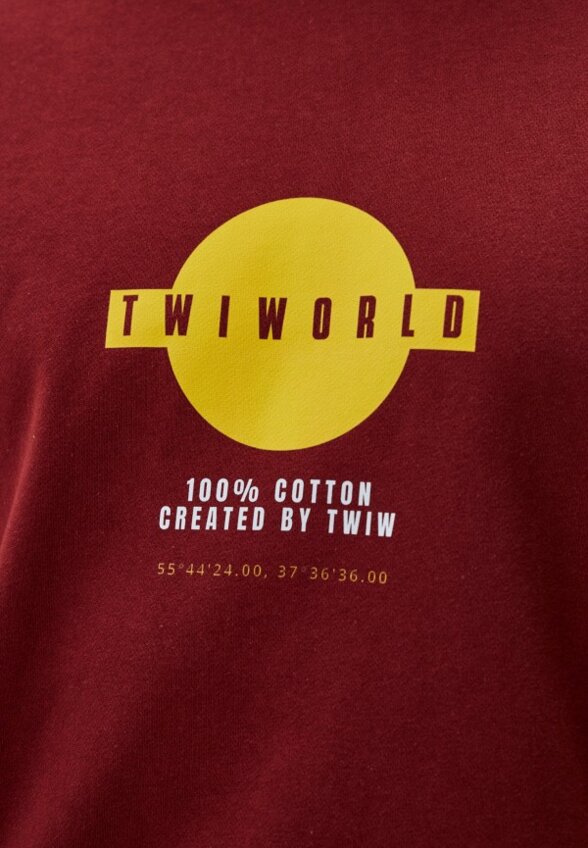 Свитшот Twiw