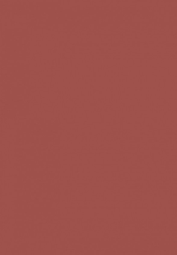 Тинт для губ Focallure