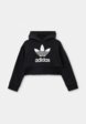 Худи adidas Originals1  - превью