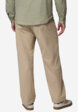 Брюки мужские Columbia Landroamer Scout Pant, Бежевый2  - превью
