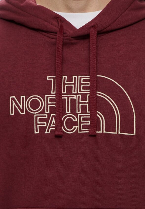 Худи The North Face