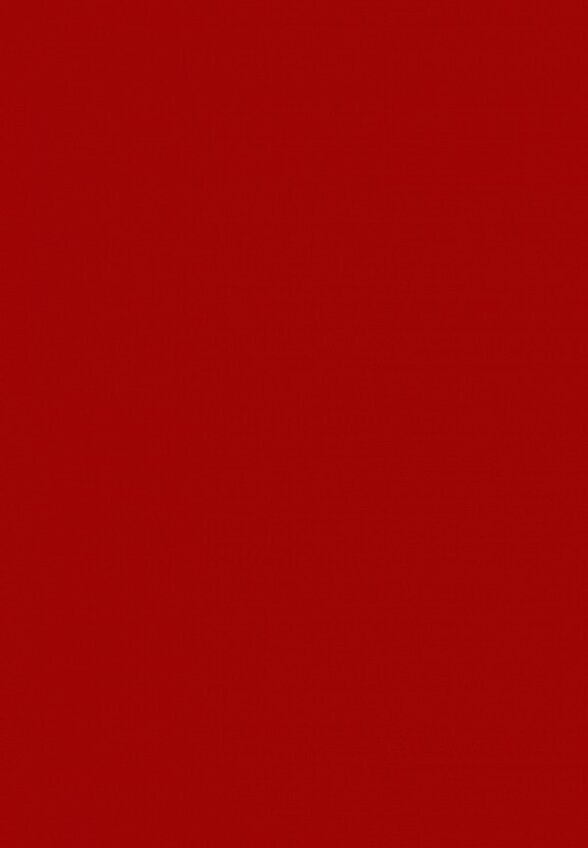 Помада Clarins