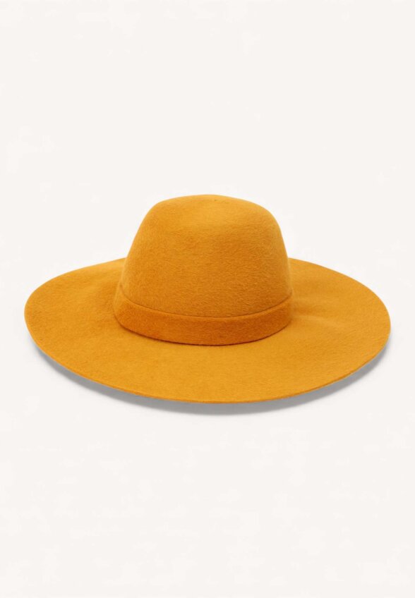 Loro Piana Hat