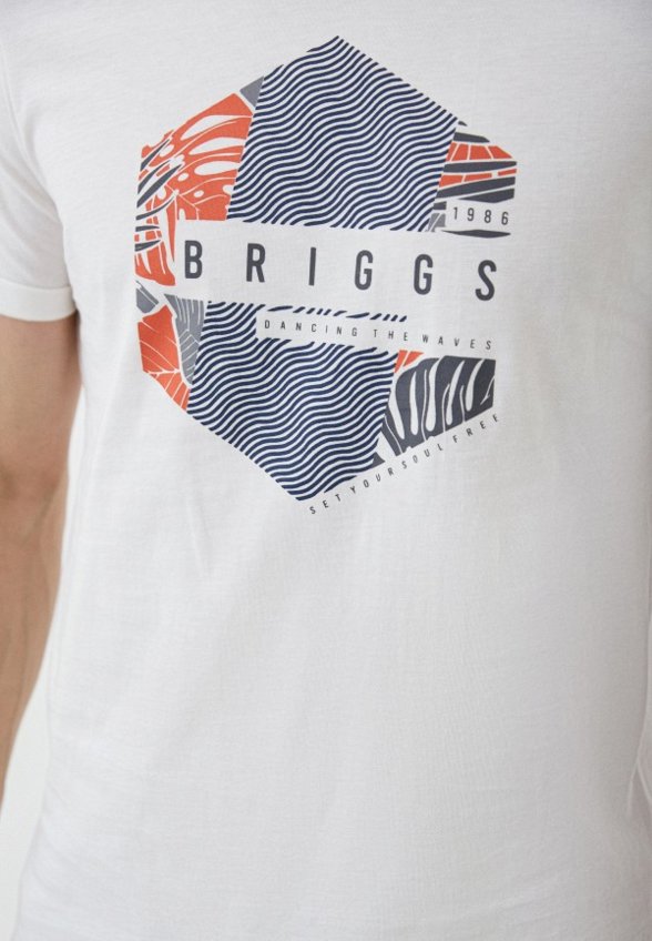 Футболка Briggs