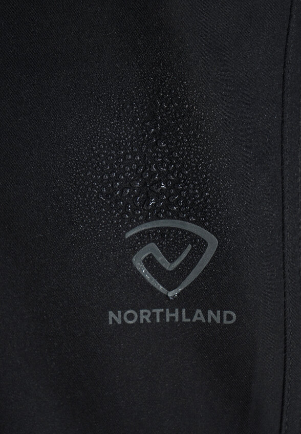 Брюки мужские Northland, Черный
