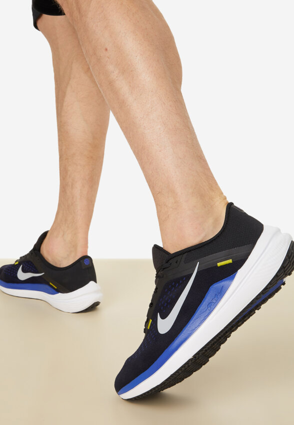 Кроссовки мужские Nike Air Winflo 10, Черный