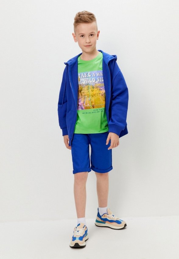 Толстовка Acoola