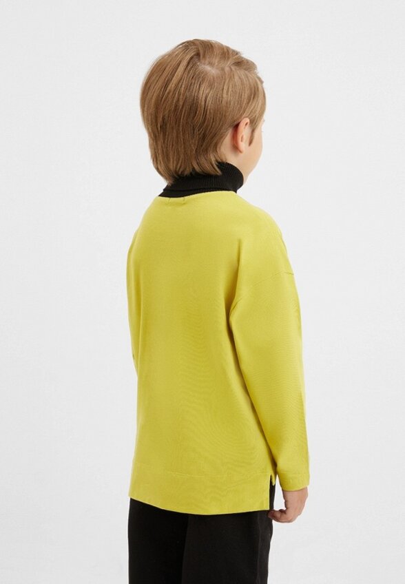 Водолазка Gulliver