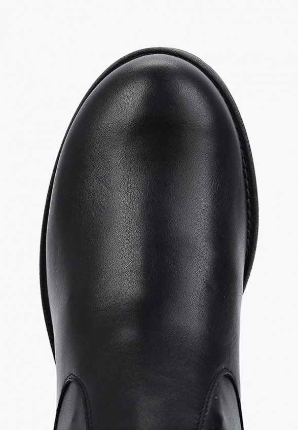 Ботфорты Argo