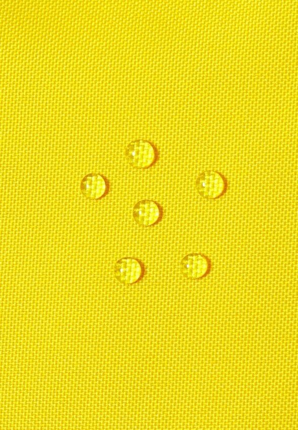 Комбинезон утепленный Lassie