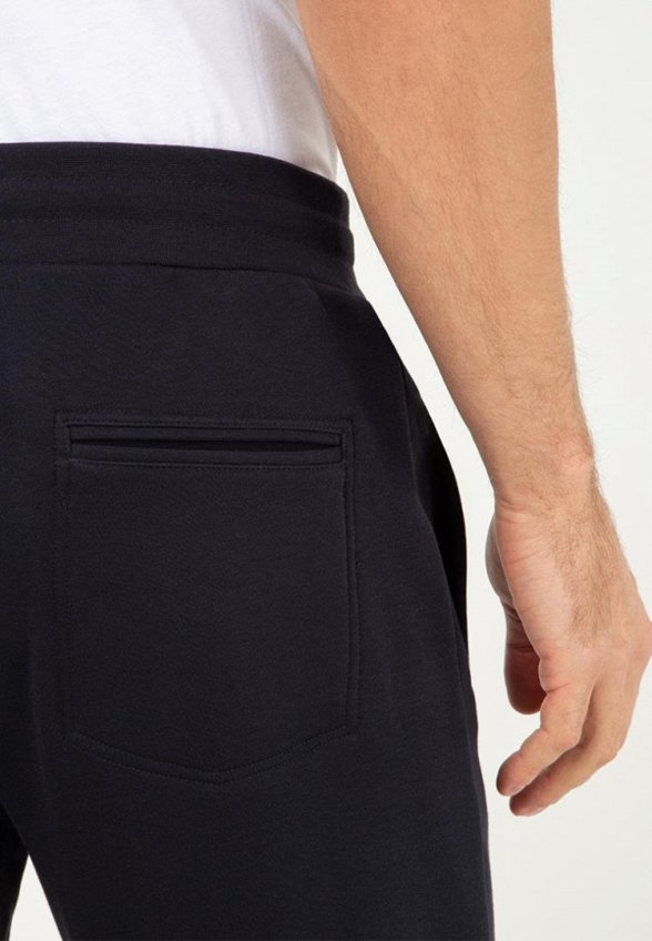 Брюки спортивные Thomas Berger