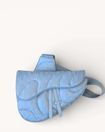 Dior x ERL Saddle женщинам