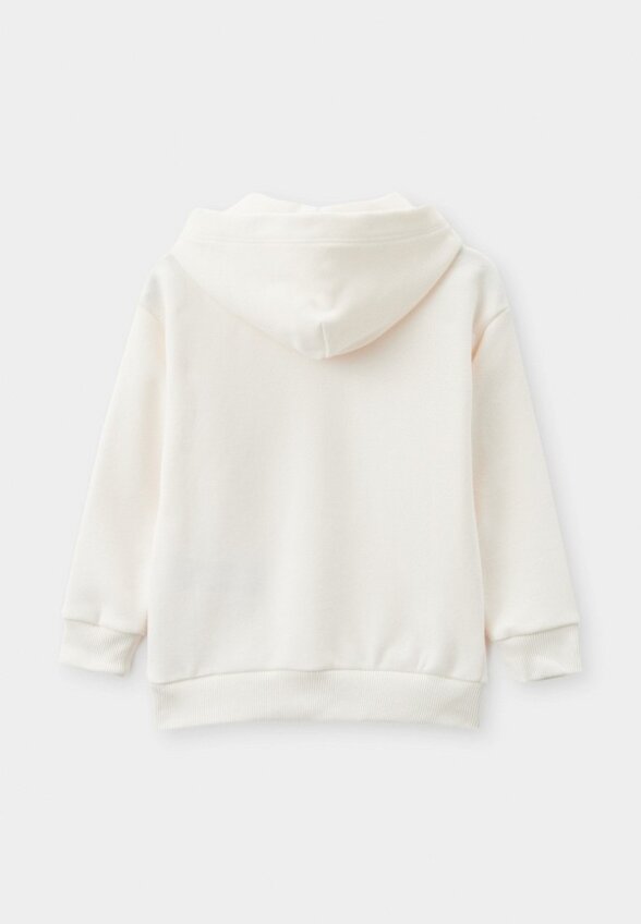 Худи Tommy Hilfiger