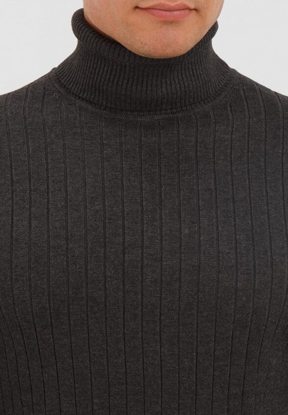 Водолазка Thomas Berger