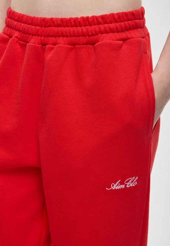 Брюки спортивные Aim Clo