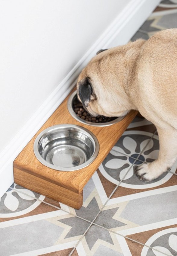 Миска Фоксвудрус