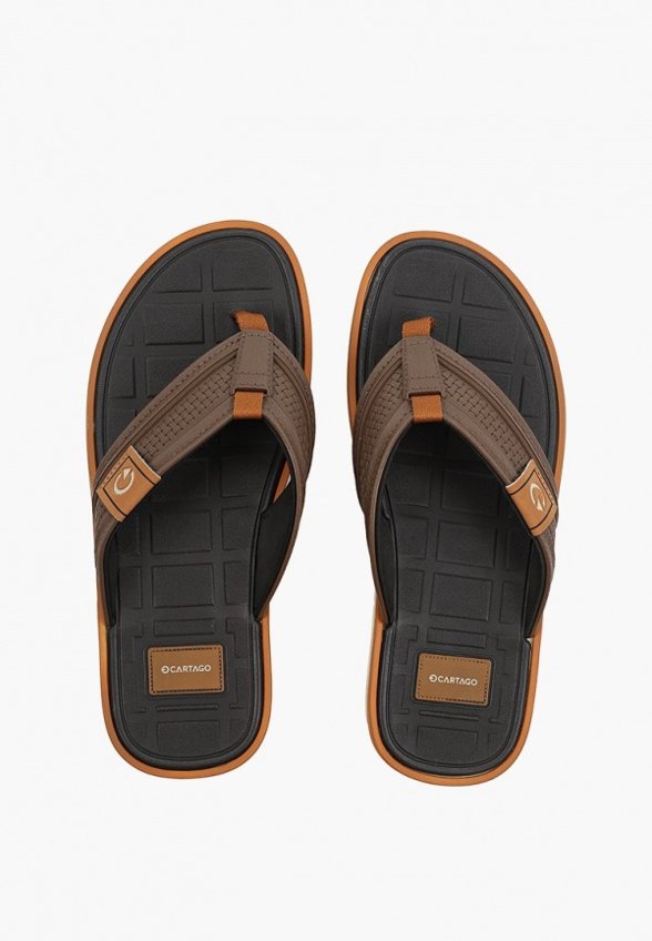 Сланцы Cartago