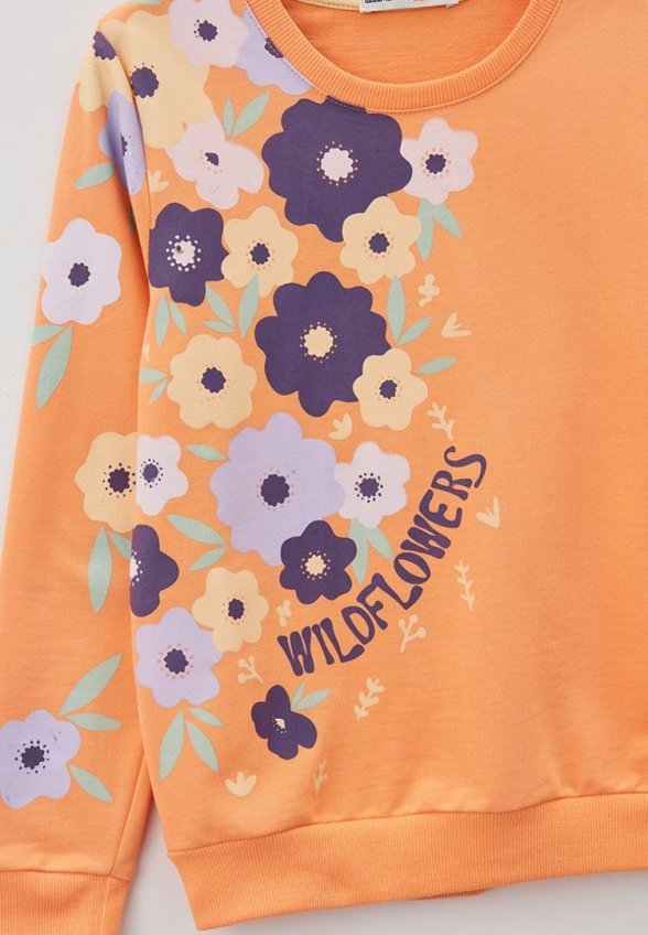 Свитшот Elementarno