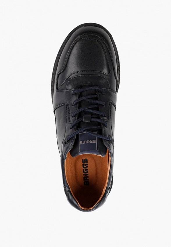 Кроссовки Briggs