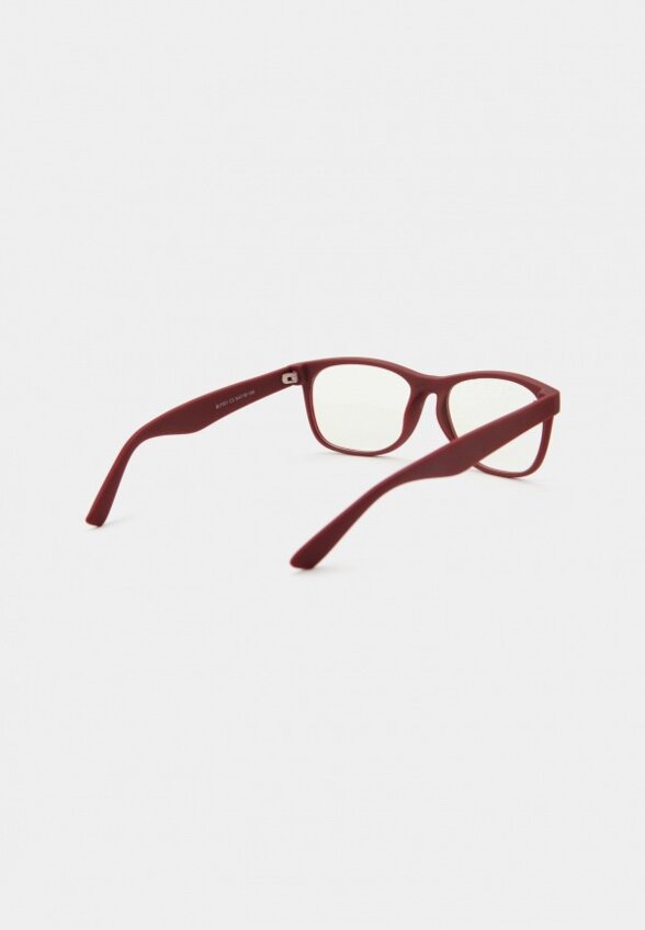 Очки для компьютера Lectio Risus