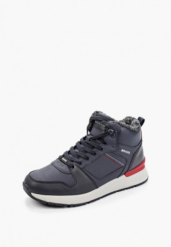 Кроссовки Briggs