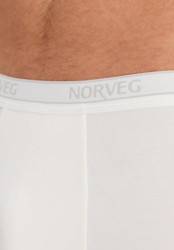 Трусы Norveg