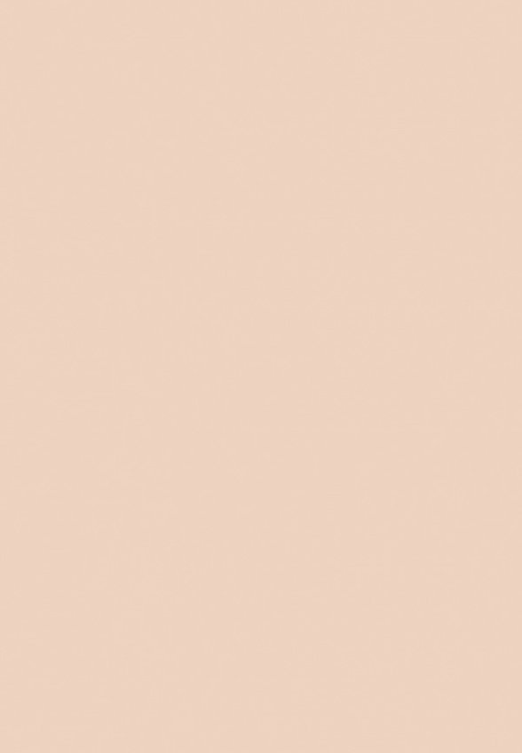 Пудра компактная Ga-De