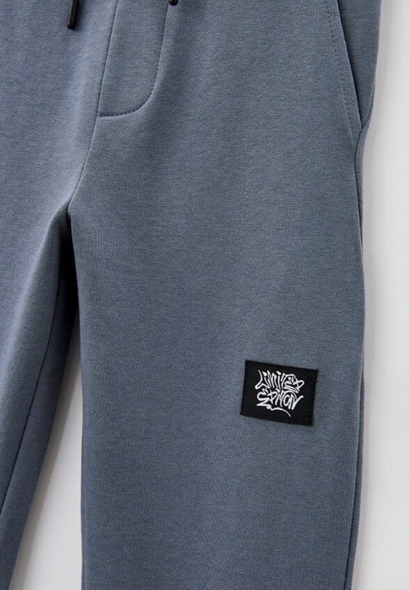 Брюки спортивные Reporter Young