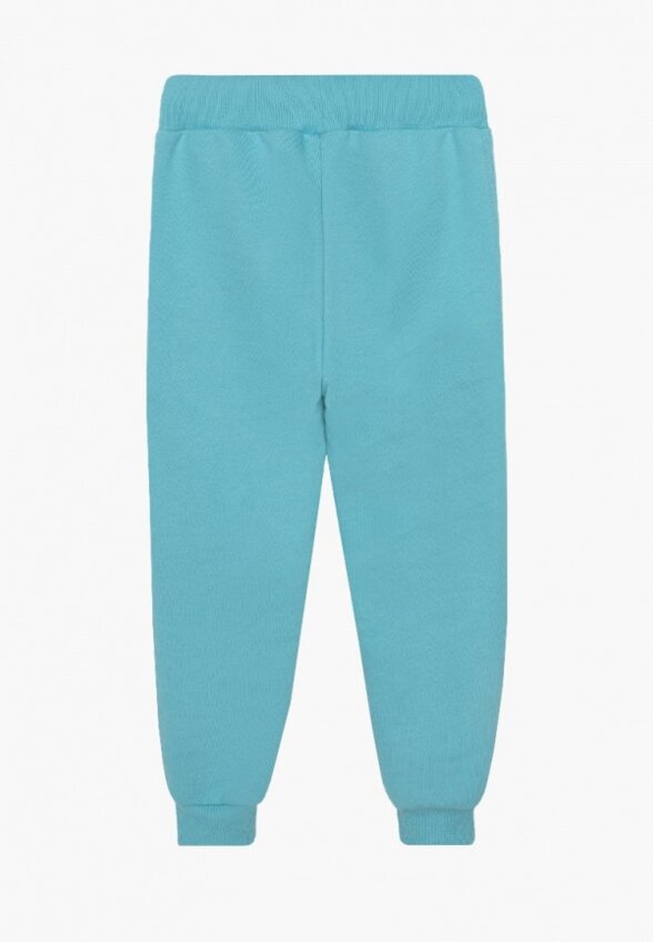 Брюки спортивные Bossa Nova