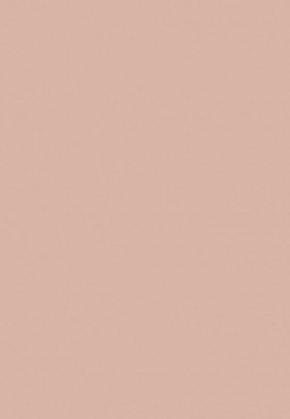 Пудра компактная Zeesea