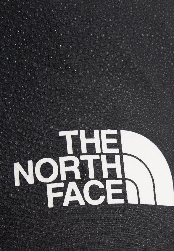 Брюки мужские The North Face Jazzi Gtx, Серый