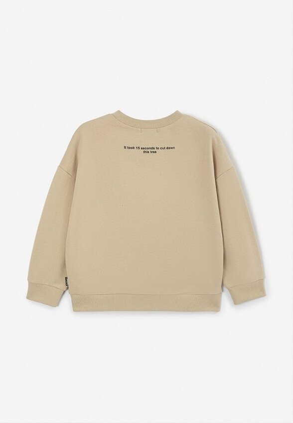 Свитшот Gulliver