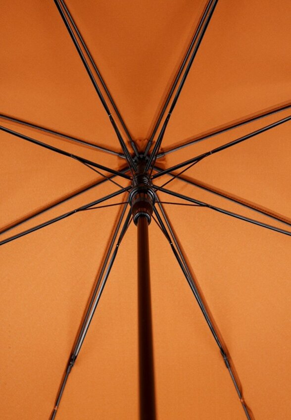 Зонт-трость Jonas Hanway