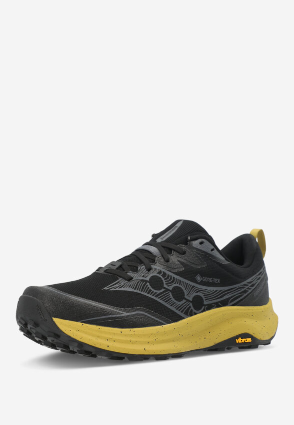 Кроссовки мужские Saucony Peregrine 16 Gtx, Черный