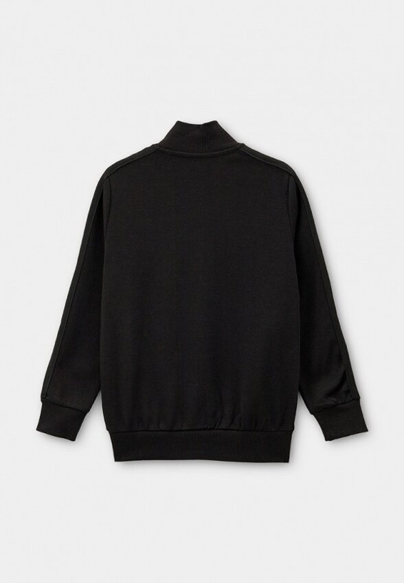 Олимпийка Terranova