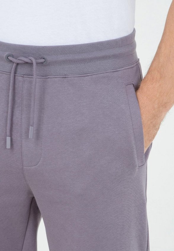 Брюки спортивные Thomas Berger