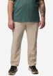 Брюки мужские Columbia Sage Peak Chino Pant, Бежевый1  - превью