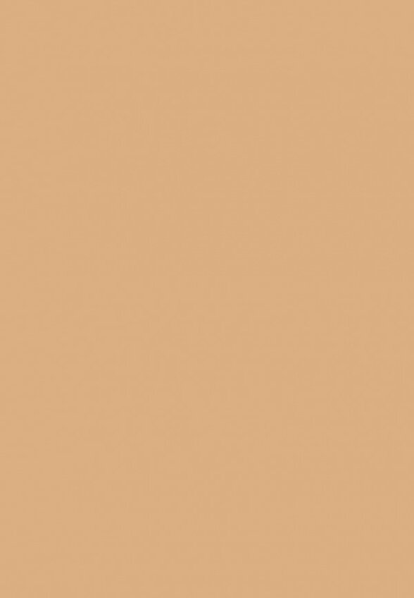 Тональная основа MAC