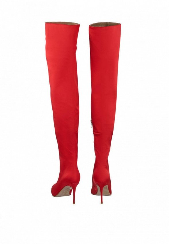 Ботфорты Raden