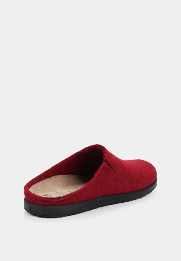 Тапочки Scholl