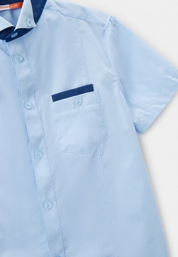 Рубашка Pelican