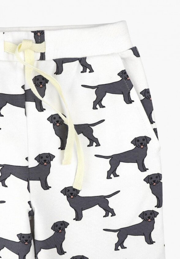 Брюки спортивные Mjolk