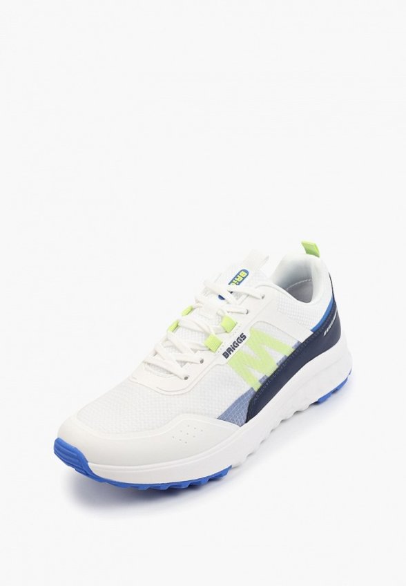 Кроссовки Briggs